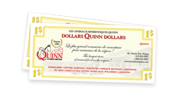 Dollars Quinn